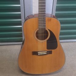 Fender DG 60 NAT guitar