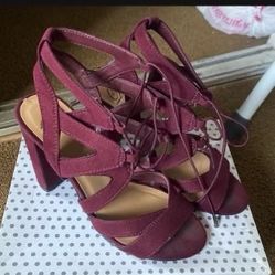 Woman’s Heels 6.5