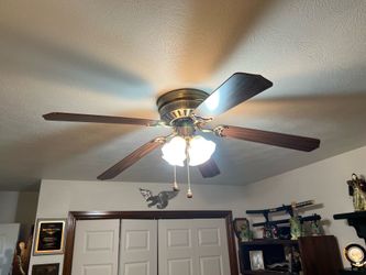 Ceiling fan with lights