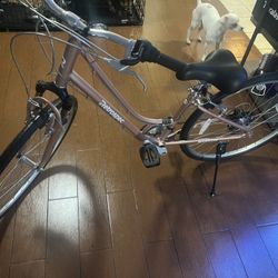 Barron Retrospec Bike 