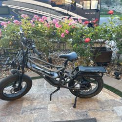 Fucare Scorpio 750w (1200w Peak) Electric Bike 