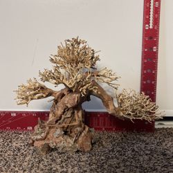 Show Bonsai tree decorations for Fish Tank with rock