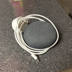 google home