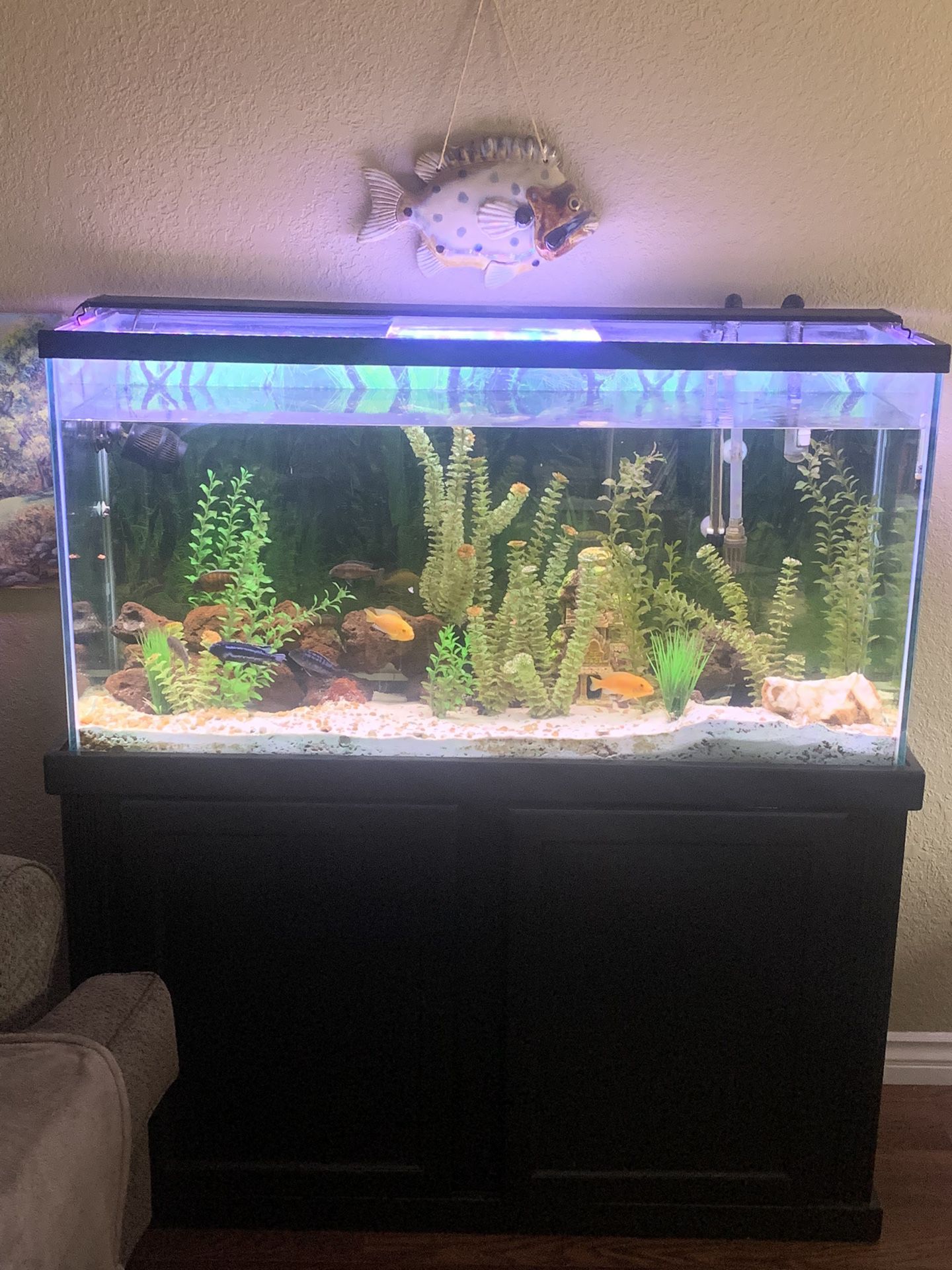 65 Gal. Aquarium With Stand And Accessories 
