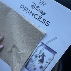 JoyJolt Disney Princess Jasmine Glass Tumblr