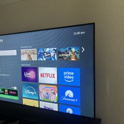 65 Inch Roku TV