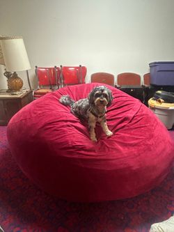 Huge luv sac bean bag