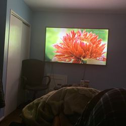 70 Inch Vizio