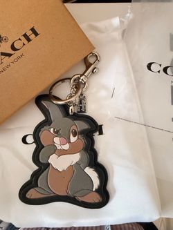 Coach /disney charms