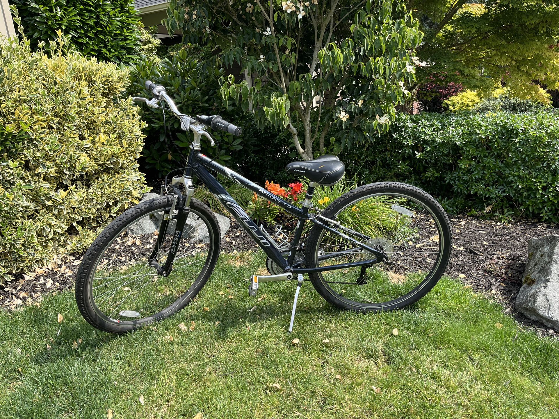 Fuji Monterey 1.0