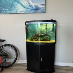 Top Fin 36 gallon Tank With Accessories