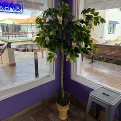 Ice Cream Tree - Custom