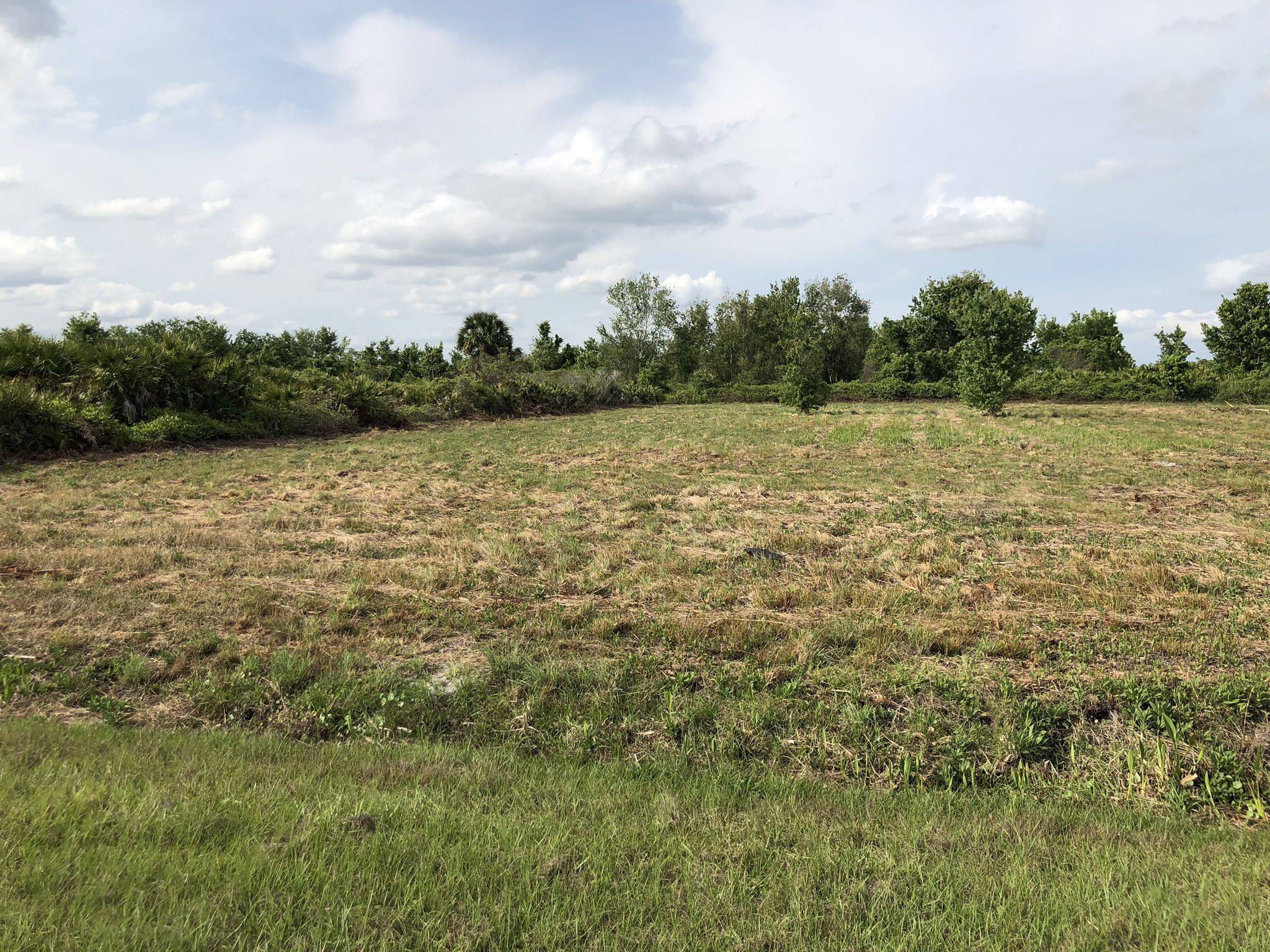 Land 1.25 Acre 