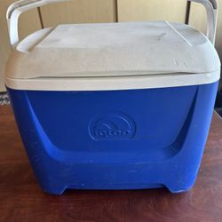 Igloo Small/Medium Cooler