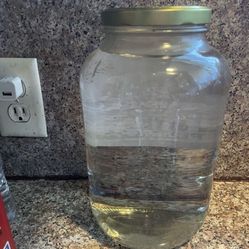 Mason Glass Jars 1 Gallon 
