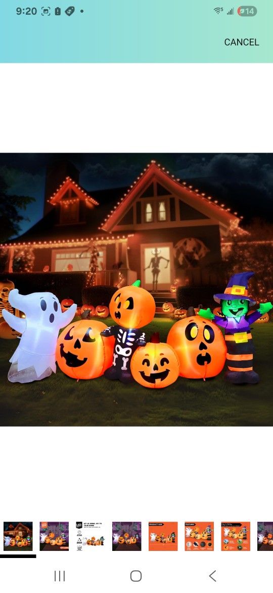 8 Feet Three Characters & Pumpkin Patch  $50