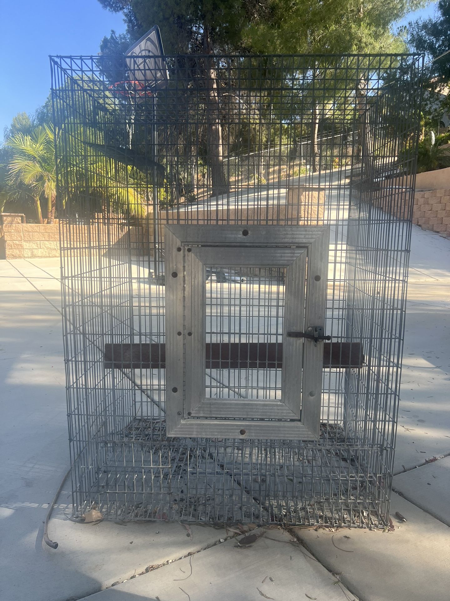 Bird Cage 