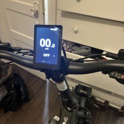 Brand New Xp4 Lectric