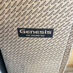 PVC Ceiling Tile 4'x2'