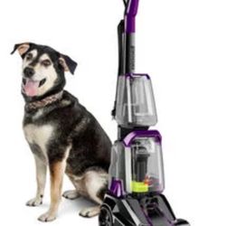 BISSELL Powerforce Powerbrush Pet Lightweight Carpet Washer - 2910 Pet Advanced + Pet Stain Remover / Carpet Cleaner
