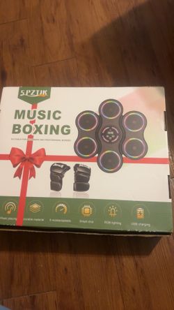 Music Boxing Bag