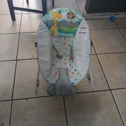 Baby Bouncer