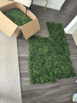 Greenery Decor