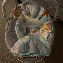 Baby Bouncer 