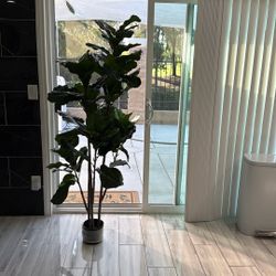 Fake Plant 