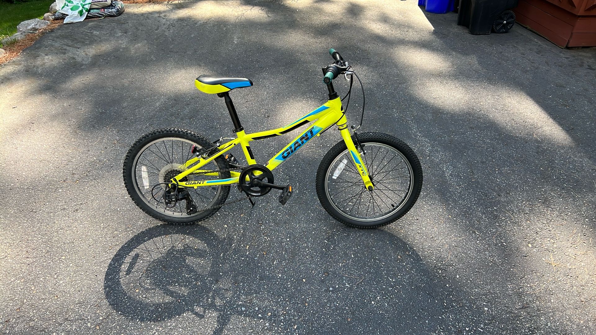 Giant Size 20 Bike