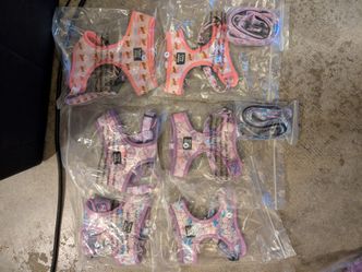Small Dog Harness and Leash Set Lot