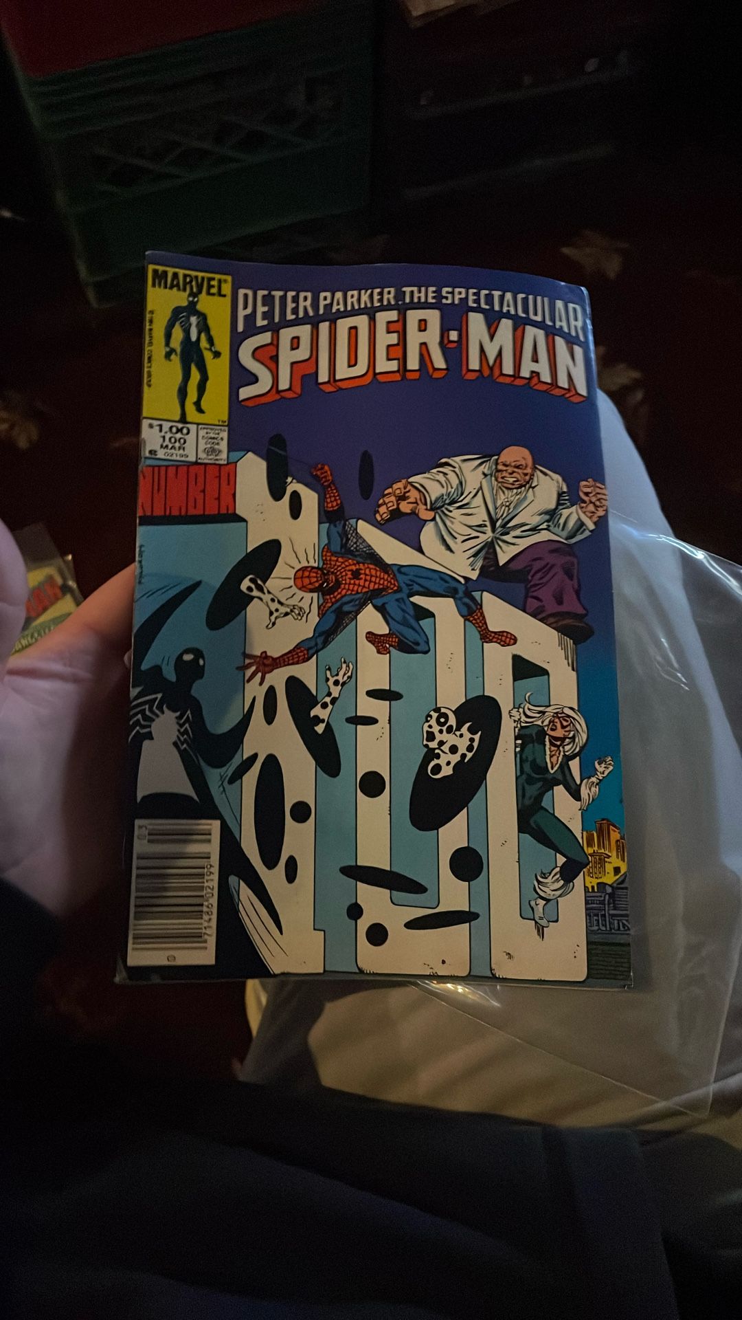 Peter Parker The Spectacular Spider-Man