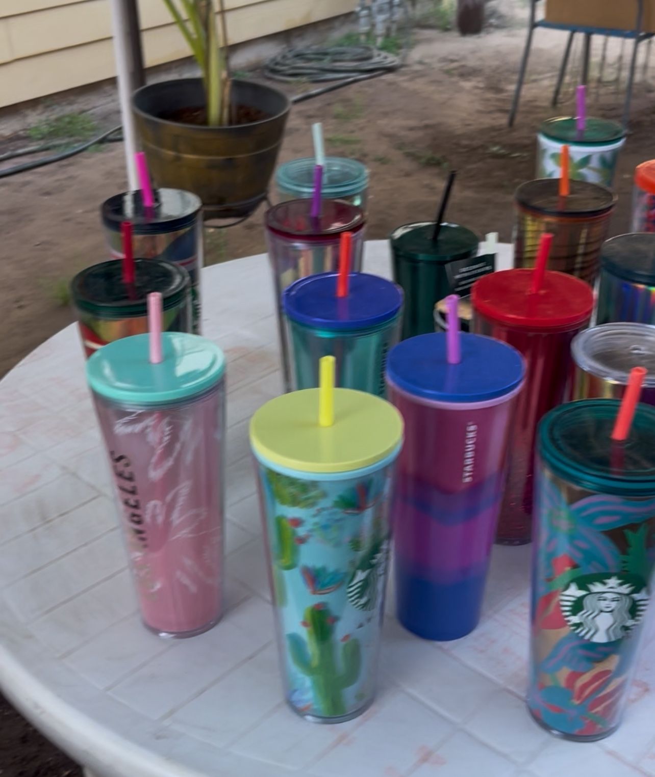 Vasos De Starbucks