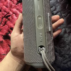 Jbl Flip 6