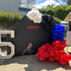 Spider-Man Theme Birthday