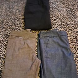 7th Avenue Dress Pants Bundle 