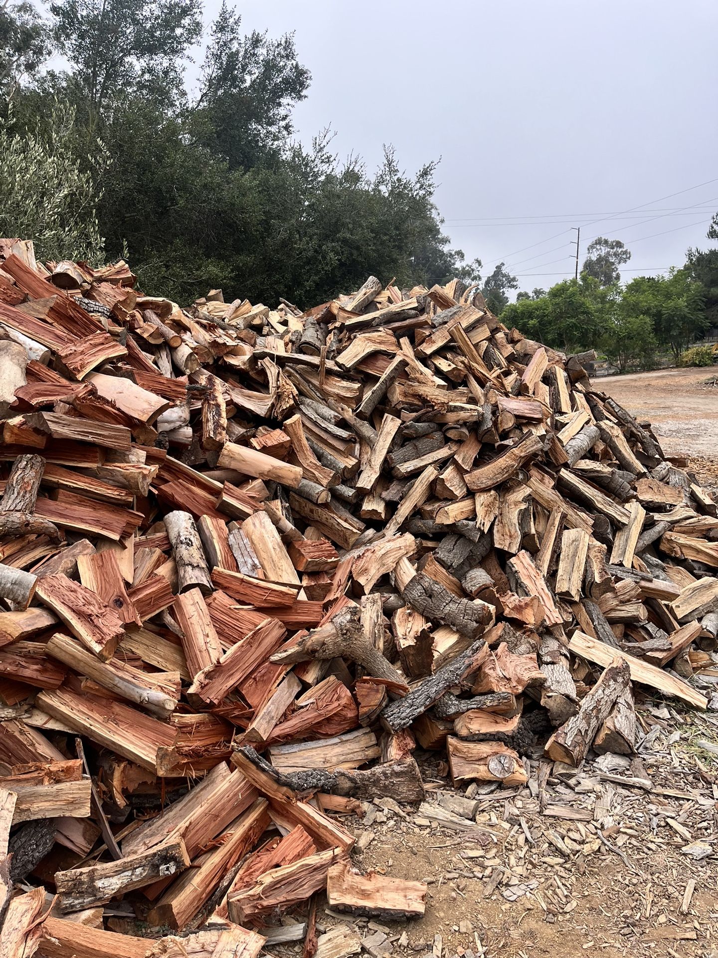 Firewood