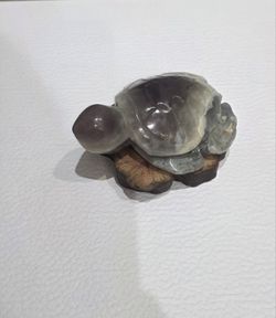 Crystal turtle