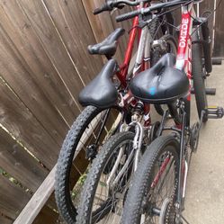 Vicicleta En Buen Estado