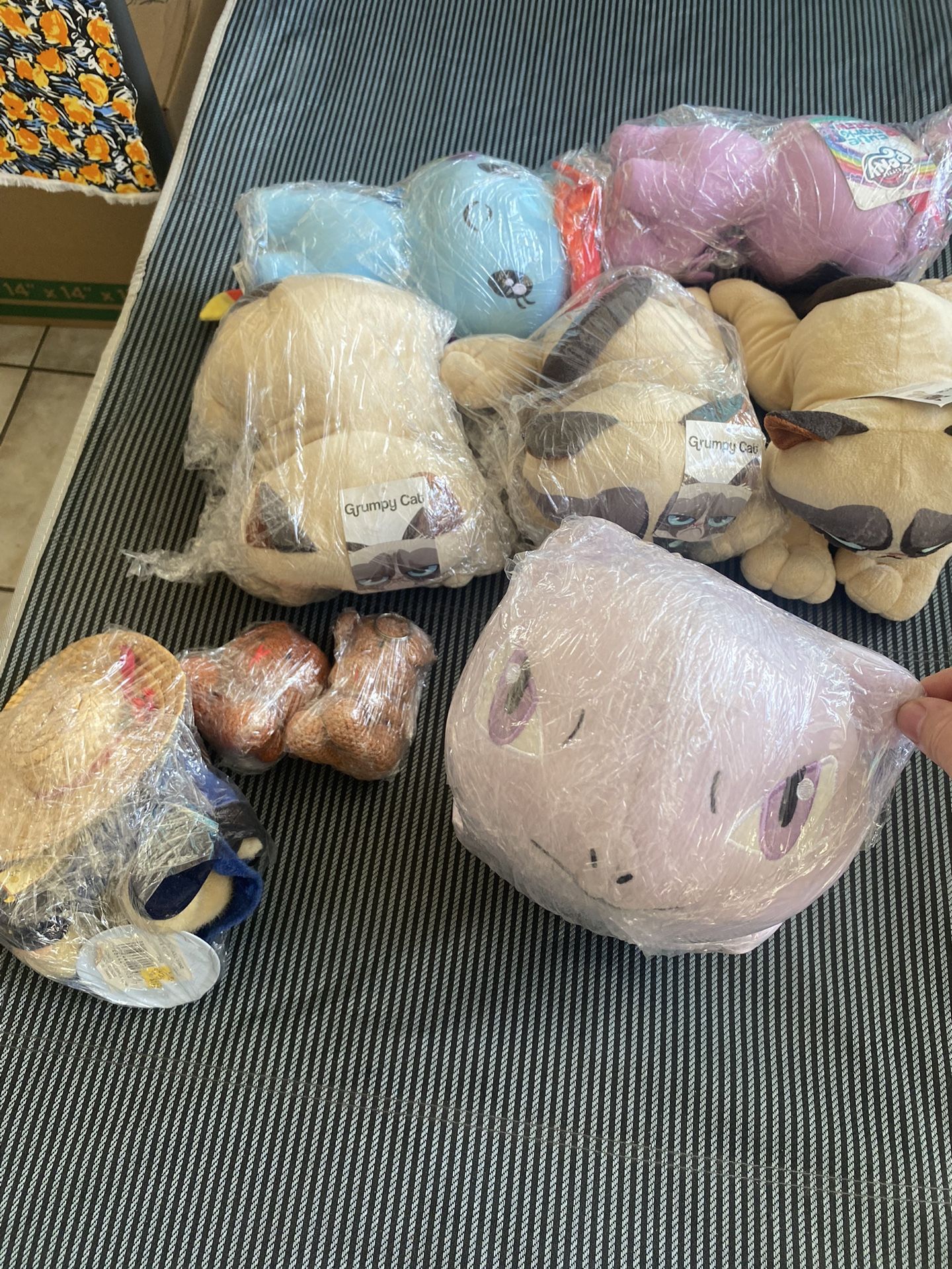 Brand New Flushes, Grumpy Cat, My Little Pony, Etc..