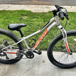 Specialized Riprock 24 fat tires kids MTB 