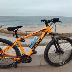 Giant Bike