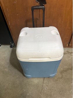 Igloo cooler