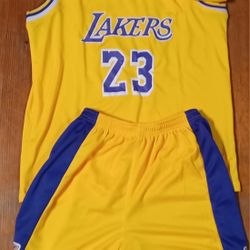 Youth Size XL Los Angeles LeBron James Jersey Short Set New Yellow Purple