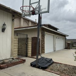 basketball hoop