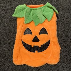 Pumpkin large (17” long) dog costume