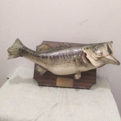 BASS 8lbs MOUNTED ON WOODEN PLAQUE