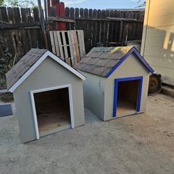 Dog Houses 