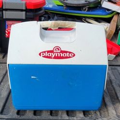 Igloo Playmate Cooler
