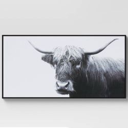 Highland Cow Canvas